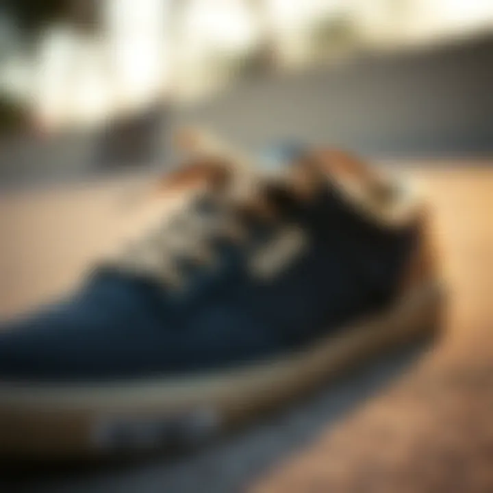 Detailed Design Features of Busenitz Vulc II Shoes Close-up view highlighting the unique design elements of Busenitz Vulc II shoes