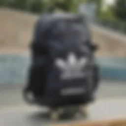 Adidas daypack displayed at a skate park