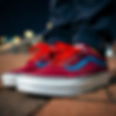 Vans shoes with blue stripe details showcasing their unique design