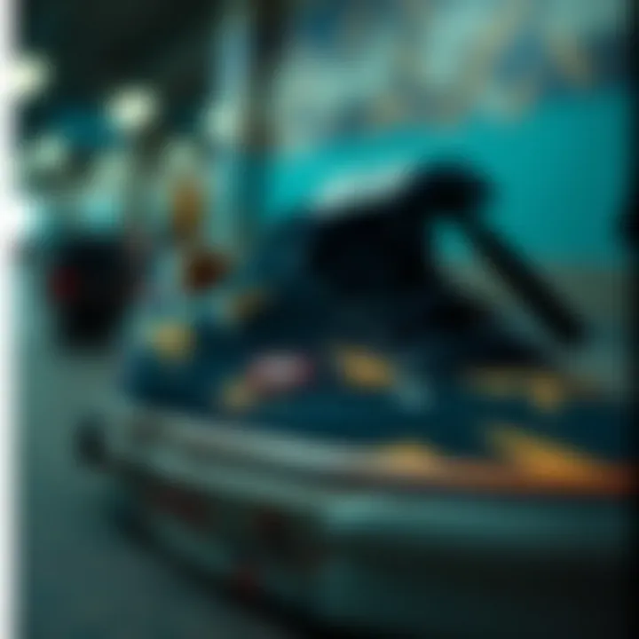 Close-up of Vans skate shoes designed with Lizzie Armanto