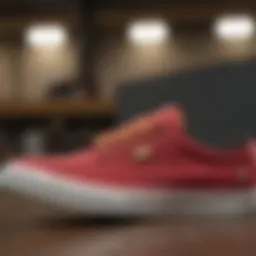 Close-up of Emerica Wino Standard sneaker showcasing its unique design