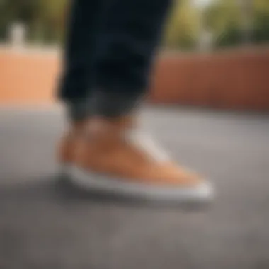 Comparison of Nike SB Shane Premium Comparison of Nike SB Shane Premium with other skate shoes