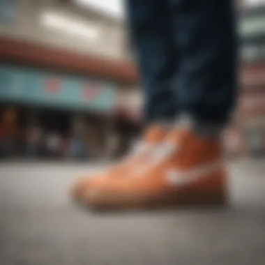 Nike SB Shane Premium and Skate Culture Collage of skate culture elements including the Nike SB Shane Premium shoes
