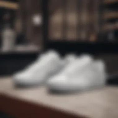 Stylish Arrangement of White Nike Lowtops Stylish arrangement of white Nike lowtops with skate accessories