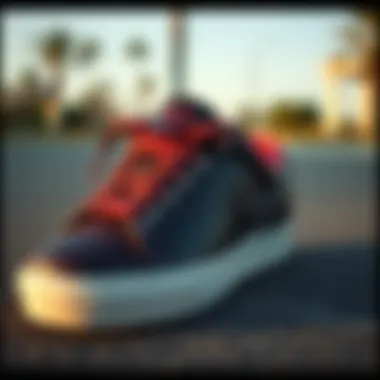 High-performance skate shoes made with gator skin material