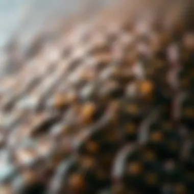 Detailed texture of gator skins showcasing unique patterns