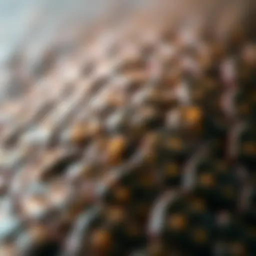 The Unique Texture of Gator Skins Detailed texture of gator skins showcasing unique patterns