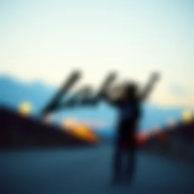 Artistic representation of Lakai's logo and brand identity