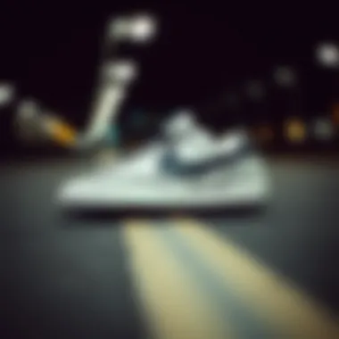 Skate culture influenced by Nike Blazer