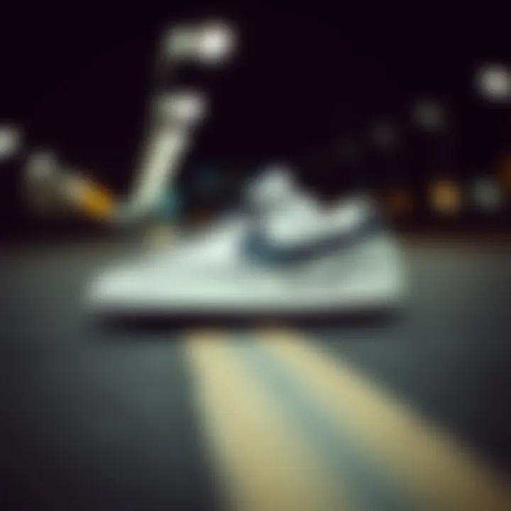 Skate culture influenced by Nike Blazer