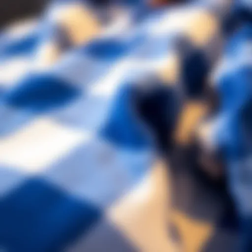 Close-up of royal blue and white flannel pattern