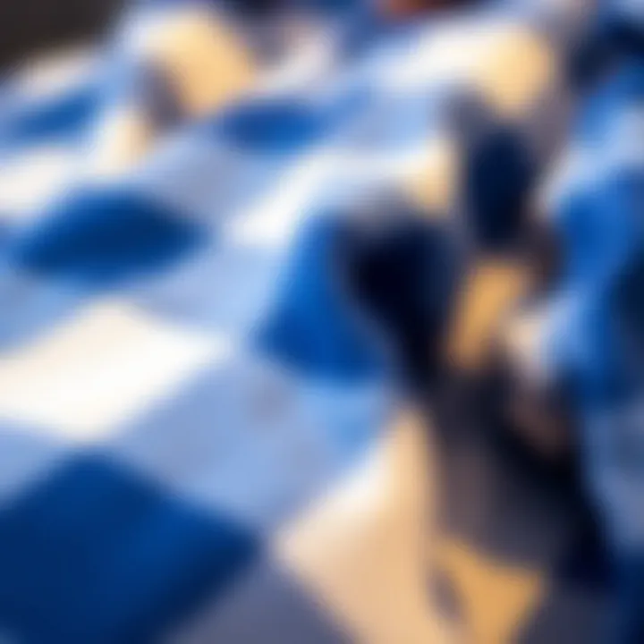 Close-up of royal blue and white flannel pattern