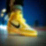 Dynamic design elements of Nike skate shoes