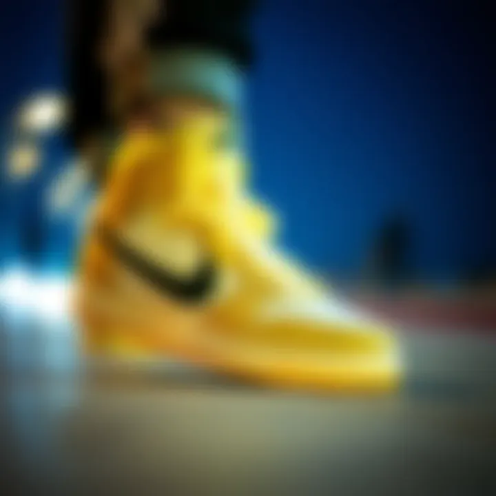 Dynamic design elements of Nike skate shoes