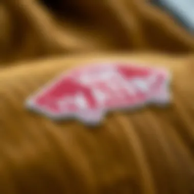 Close-up of the texture of Vans corduroy fabric