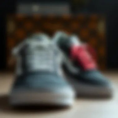 Comparative Analysis: Vans Low Pro vs. Other Skate Shoes Comparison of Vans Low Pro women's shoe against other skate shoes