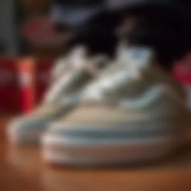 Close-up view of Vans Old Skool shoe detailing and craftsmanship