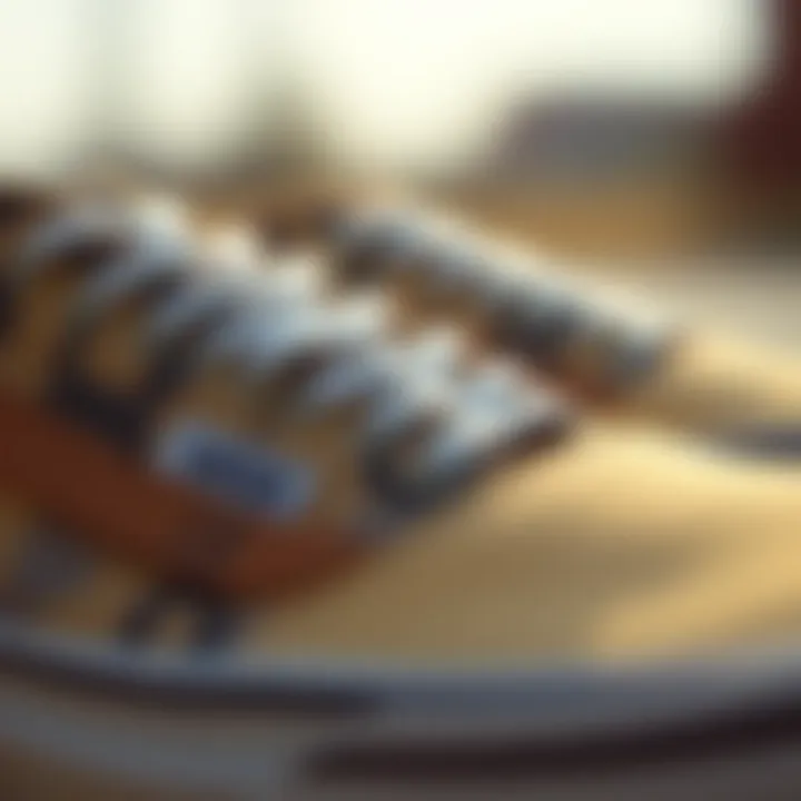 Close-up of Vans SLI materials reflecting sustainability