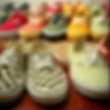 Diversity of Color Patterns in Vans Collection Vans displayed in various color patterns